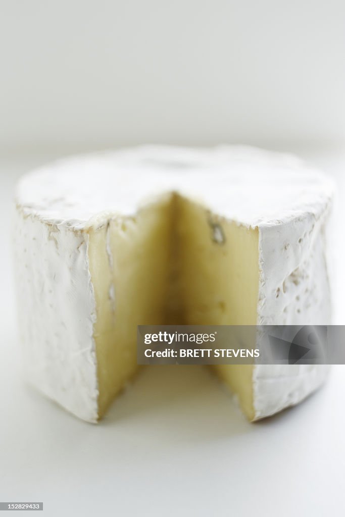 Close up of wheel of cheese