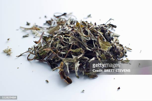 close up of pile of tea leaves - chá branco imagens e fotografias de stock