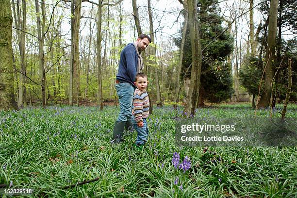 padre hijo y caminando en el bosque - essex england fotografías e imágenes de stock