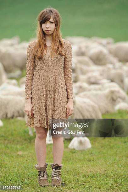 teenage girl standing in field of sheep - girl standing stock pictures, royalty-free photos & images