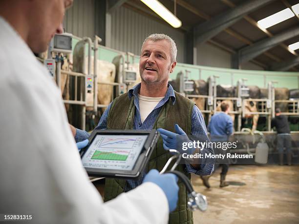 vet with digital tablet and farmer in discussion in rotary milking parlour on dairy farm with cows - milking farm bildbanksfoton och bilder