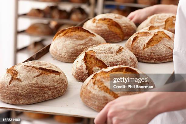 chef carrying tray of bread in kitchen - patisserie stock pictures, royalty-free photos & images