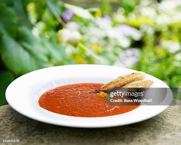 bowl of tomato and basil soup - tomato soup ストックフォトと画像