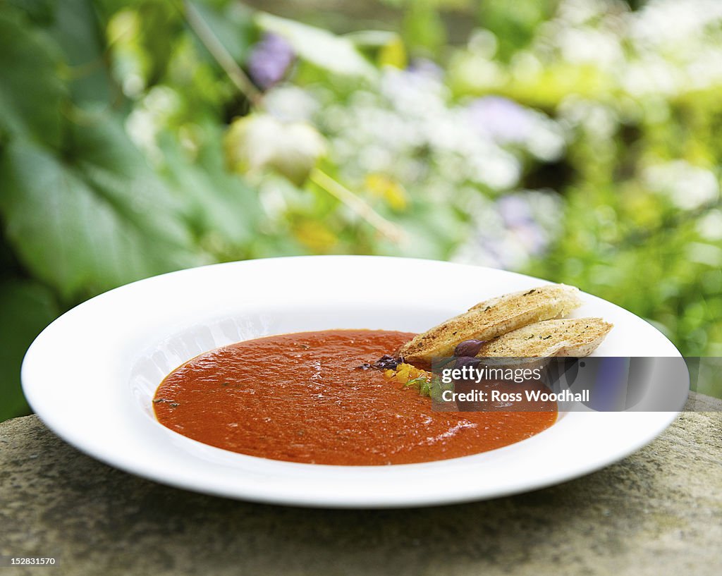 Bowl of tomato and basil soup