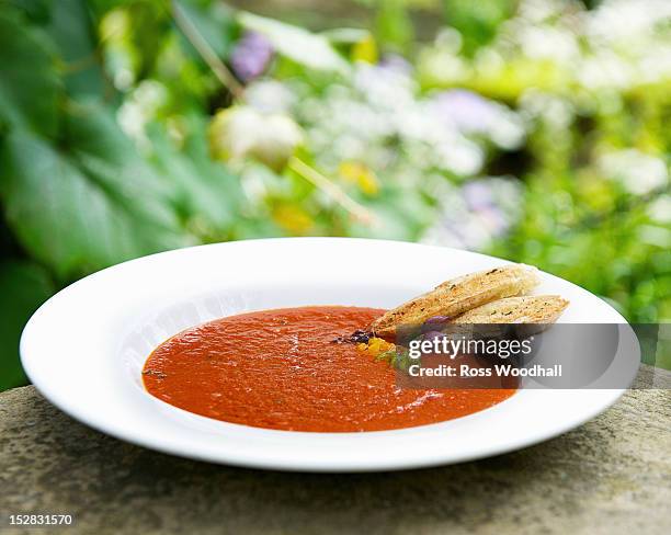 bowl of tomato and basil soup - tomato soup 個照片及圖片檔