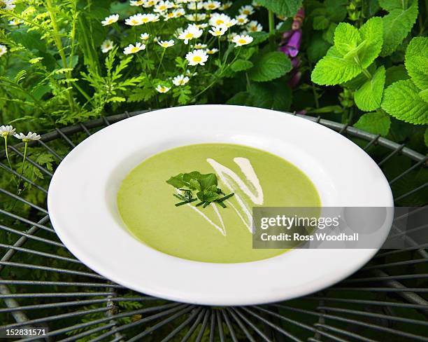 bowl of mint pea soup - pea soup stock pictures, royalty-free photos & images