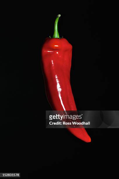 close up of red chili pepper - chili freisteller stock-fotos und bilder