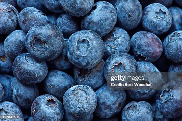 close up of bunch of blueberries - amerikanische heidelbeere stock-fotos und bilder