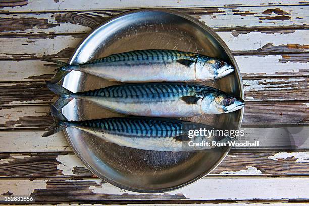 close up of plate of mackerels - makreel stockfoto's en -beelden