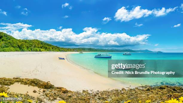 whitsunday islands, queensland, australia - isla de whitsunday fotografías e imágenes de stock