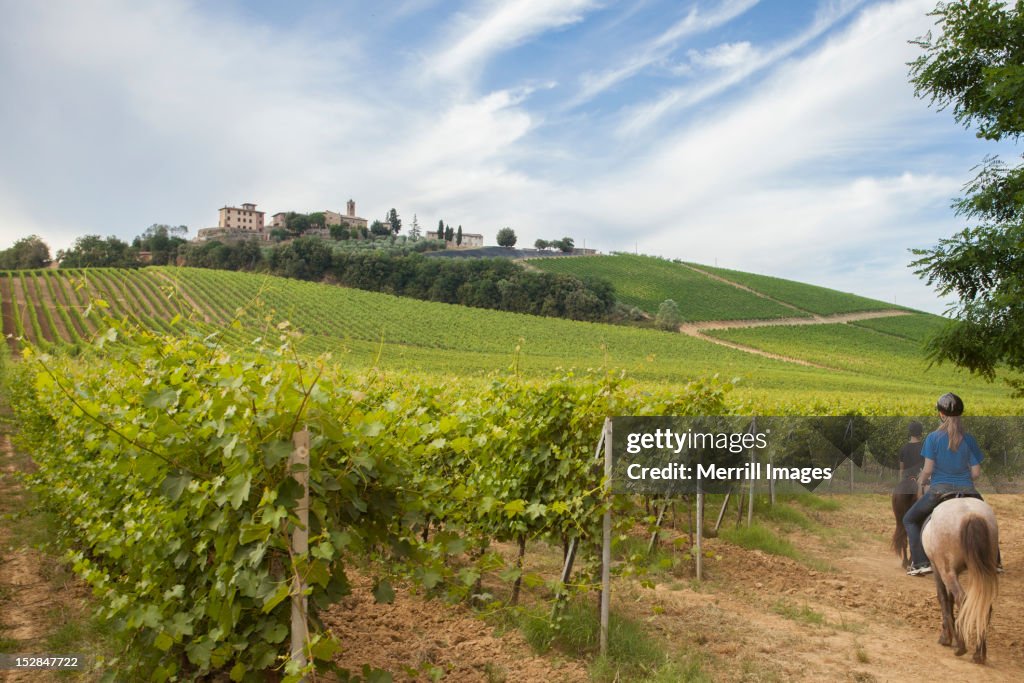 Horseback riding in Tuscany, Italy