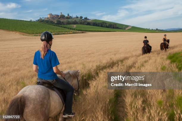 horseback riding in tuscany, italy - andare a cavallo foto e immagini stock