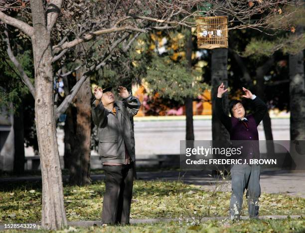 An elderly Chinese couple practice their morning exercise routine under caged birds hanging from the branch of a tree, at a Beijing park, 29 November...
