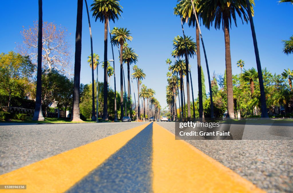 Road at Beverly Hills residential area.