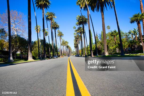 road at beverly hills residential area. - beverly hills stock pictures, royalty-free photos & images