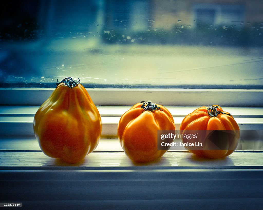 Tomatoes by window
