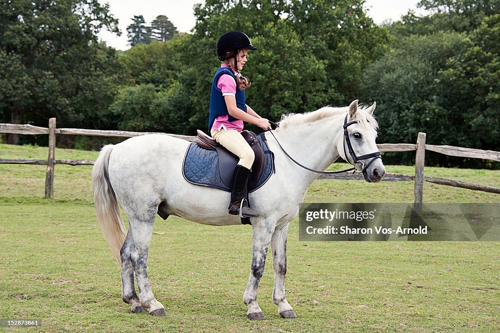Girl riding grey pony
