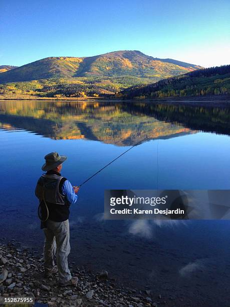 man fly fishing, colorado - steamboat springs stock pictures, royalty-free photos & images