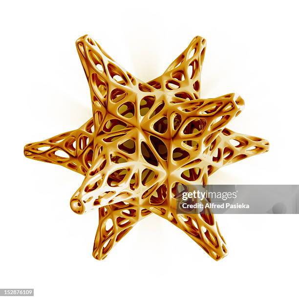 radiolarian skeleton - radiolaria stock illustrations