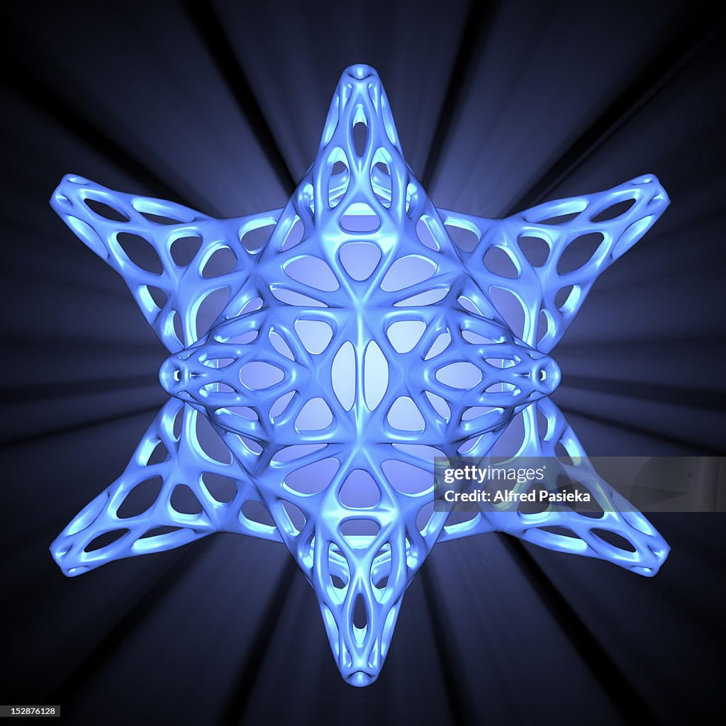 Radiolarian skeleton