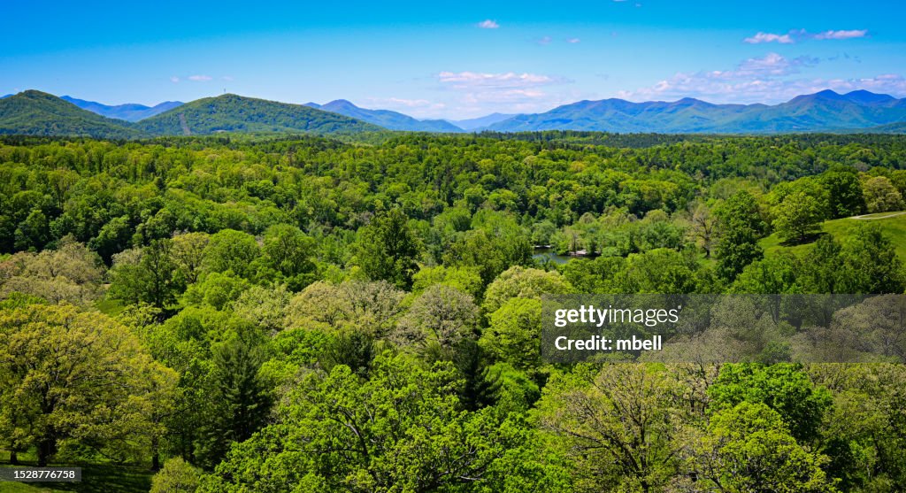 High Wooded Ridge Example View Of The Biltmore Estate Wooded Forest And Grounds With Blue Ridge ...