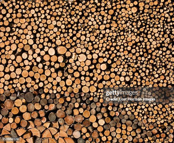 detail view of stack of logs - houtstapel stockfoto's en -beelden