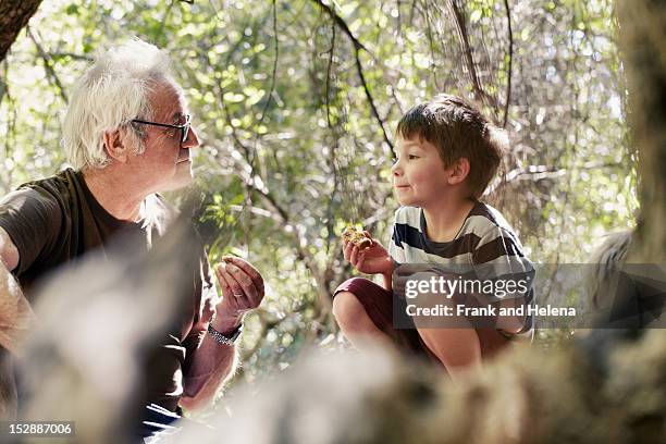 father and his sons playing in the forest - petit fils photos et images de collection