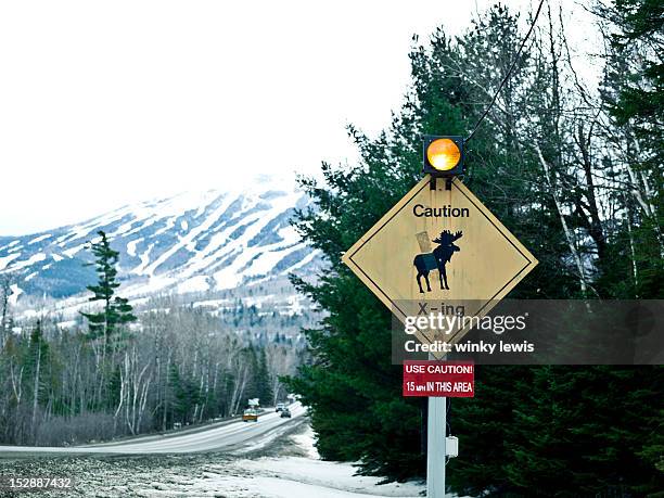 Moose Ridge Sign Moose Sign Photos and Premium High Res Pictures - Getty Images