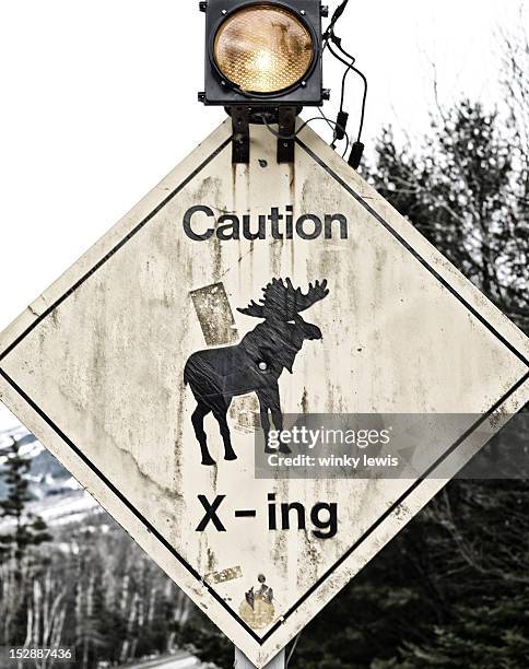 Moose Ridge Sign Moose Crossing Sign Photos and Premium High Res Pictures - Getty Images