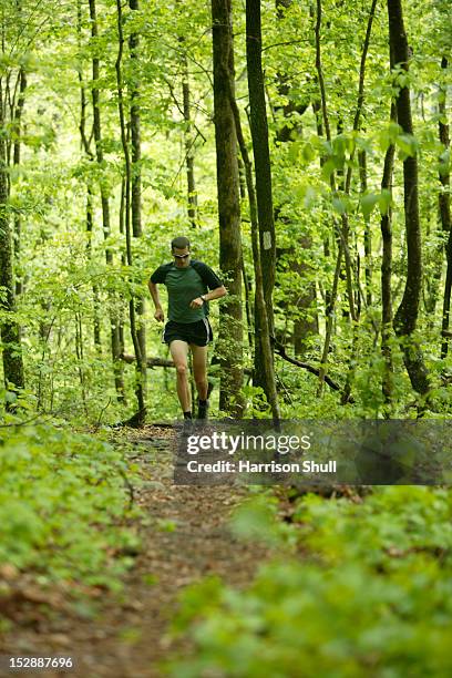 a man runs on the cumberland trail below signal mountain near middle creek outside chattanooga, tn - chattanooga foto e immagini stock