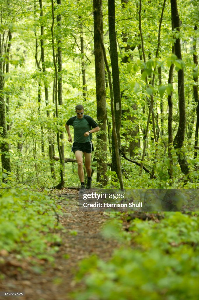 A man runs on the Cumberland Trail below Signal Mountain near Middle Creek outside Chattanooga, TN