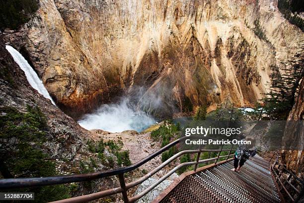 a young woman walks up a narrow stair set winds down to a overlook of yellowstone falls in yellowstone national park, wyoming. - yellowstone national park stock pictures, royalty-free photos & images