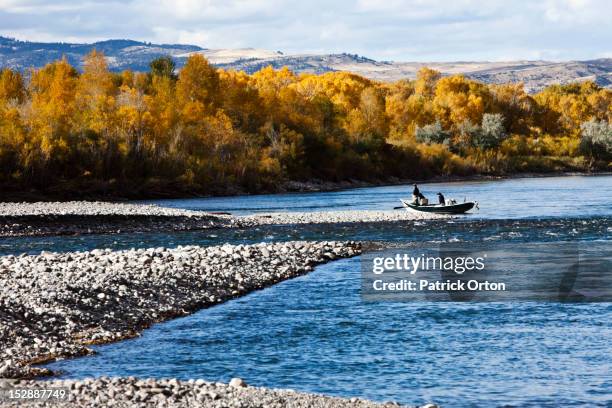 two men fly fishing out of a drift boat surrounded by fall colors in montana. - bozeman stock pictures, royalty-free photos & images