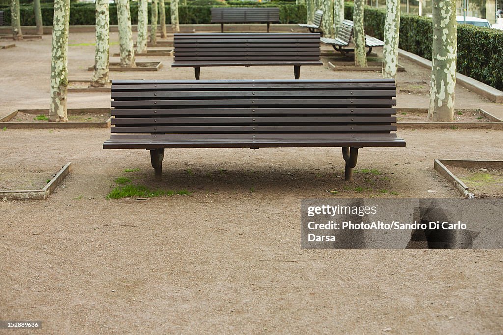 Empty park benches