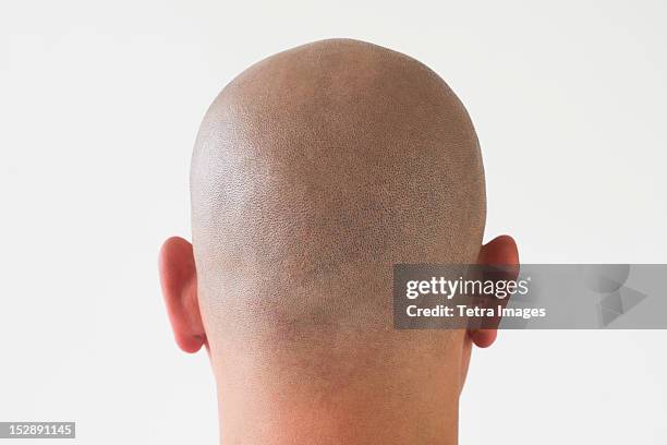 back view of man with shaved head - shaved head stock pictures, royalty-free photos & images