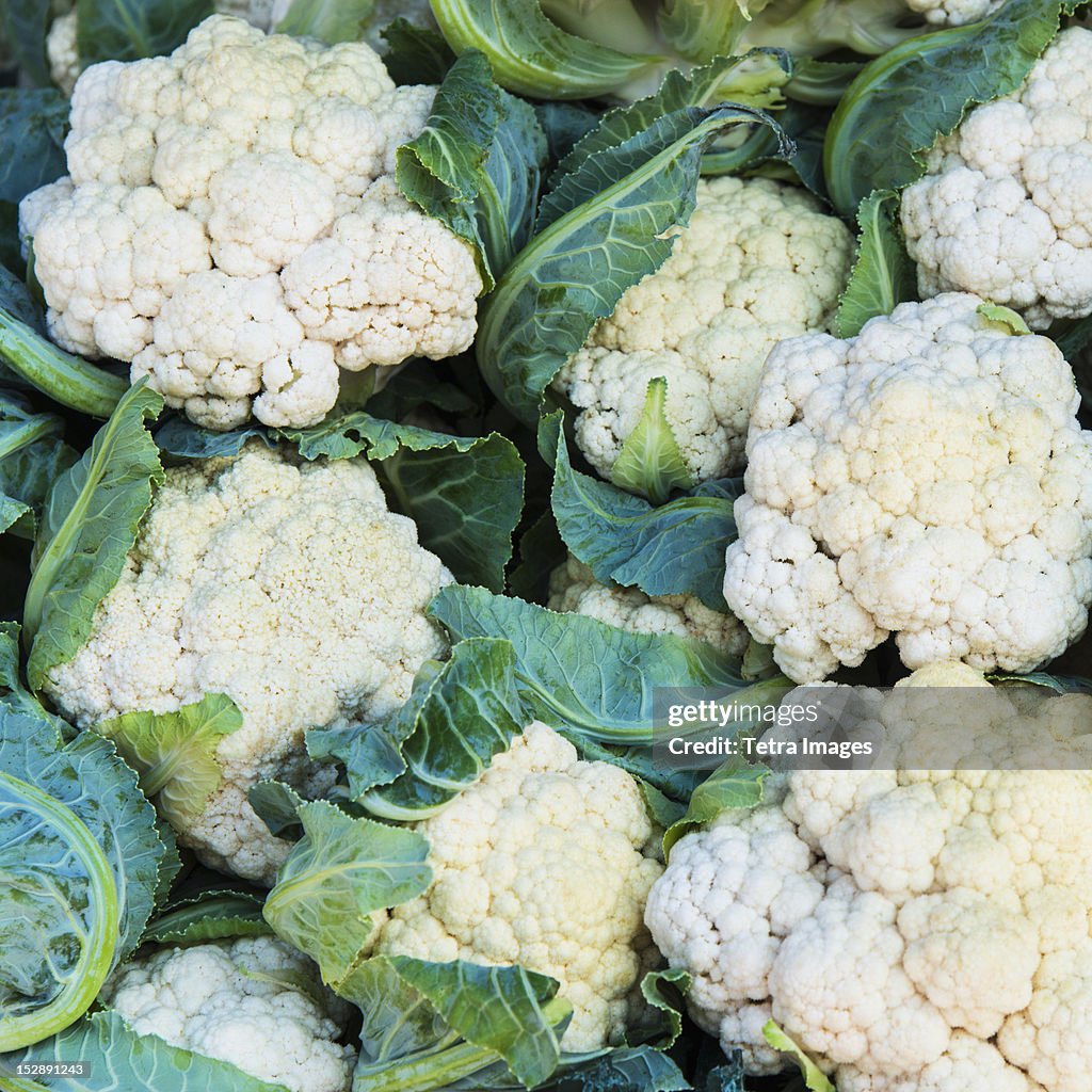 USA, New York City, Fresh cauliflowers