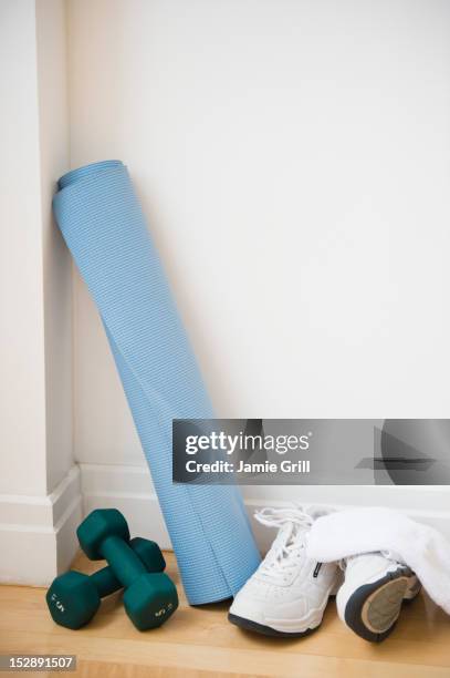 exercising equipment at home - tapis de sol photos et images de collection
