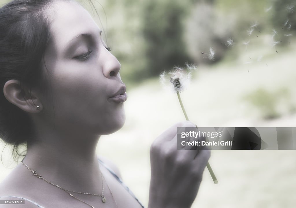 USA, Maine, Camden, Young woman blowing dandelion seeds