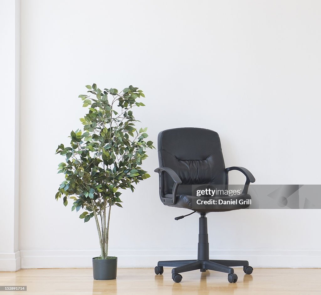 Studio shot of potted plant and office chair