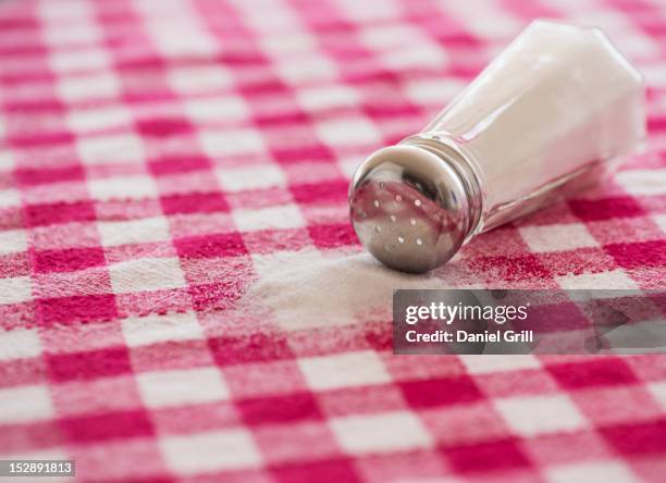 salt shaker on checked tablecloth - saliera foto e immagini stock