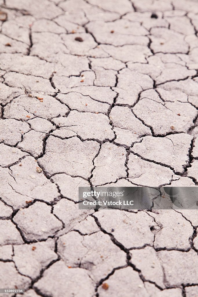USA, Arizona, Petrified Forest National Park, Cracked soil