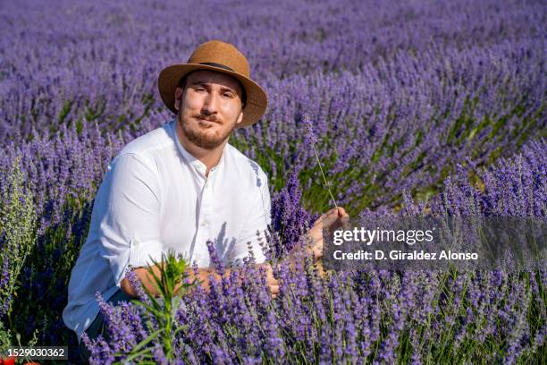 man in a lavender field - top viola stock pictures, royalty-free photos & images