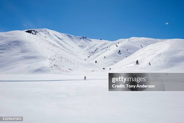 wide shot of cross country skier in snowy landscape - nordic skiing event stock pictures, royalty-free photos & images