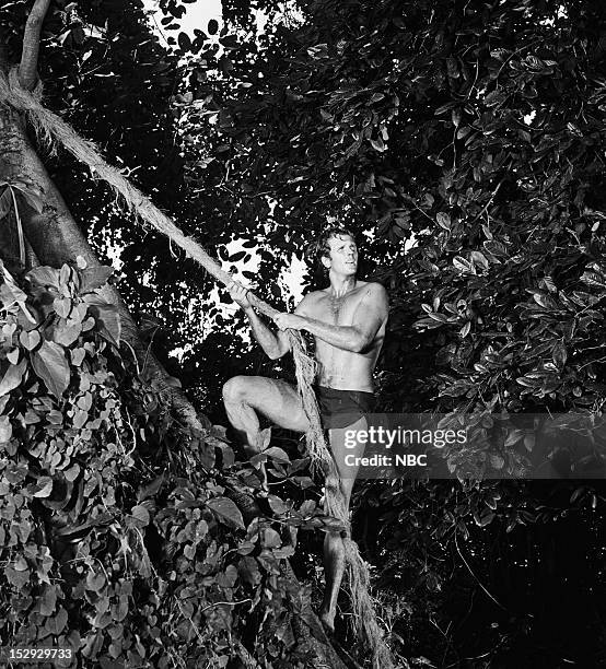 Tarzan Rope 50 Tarzan Rope Stock Photos, High-Res Pictures, and Images - Getty Images