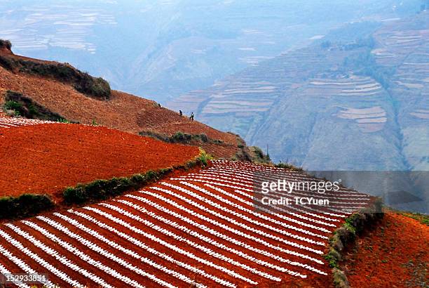 red earth in dongchuan, china - dongchuan stock pictures, royalty-free photos & images