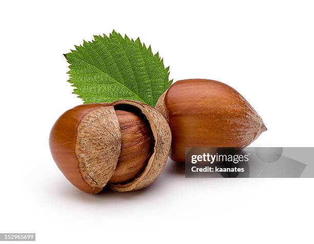 close-up of hazelnuts isolated on white background - hazelnoot stockfoto's en -beelden