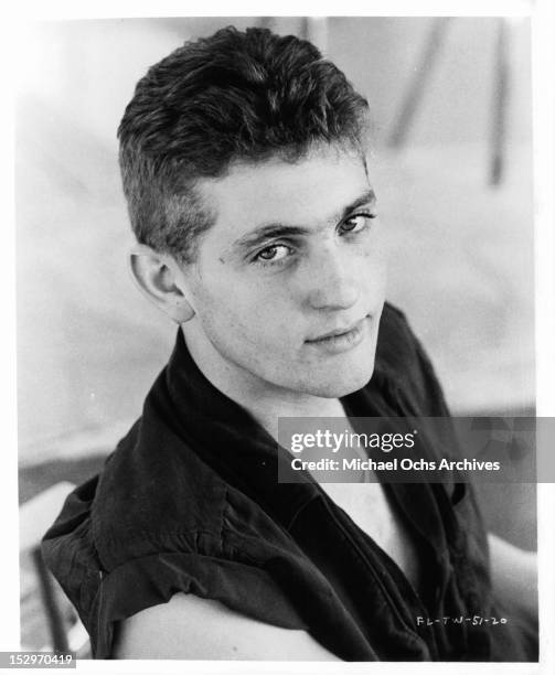 3,142 Chris Penn Photos & High Res Pictures Getty Images