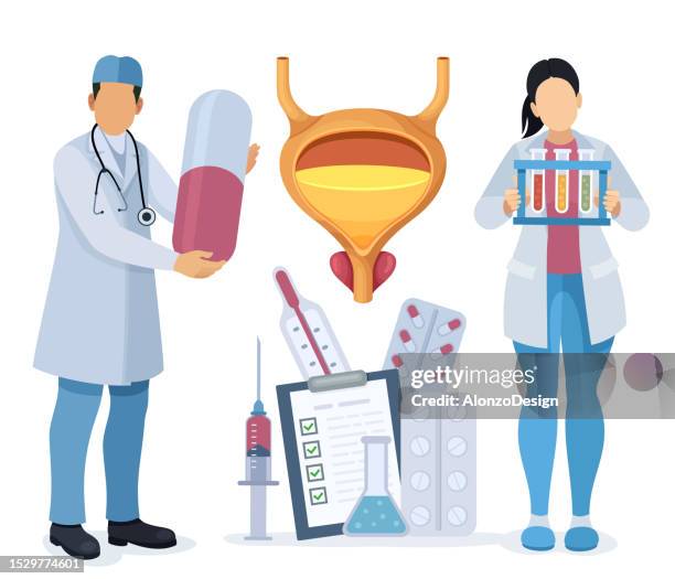 urology. consultation with a urologist. medical research team studying and prescription drug. bladder anatomy and prostate gland. - appendix stock illustrations