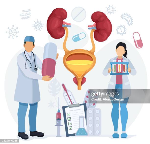 urologie. konsultation mit einem urologen. medizinisches forschungsteam untersucht und verschreibungspflichtige medikamente. anatomie der blase und prostata. - urologie stock-grafiken, -clipart, -cartoons und -symbole