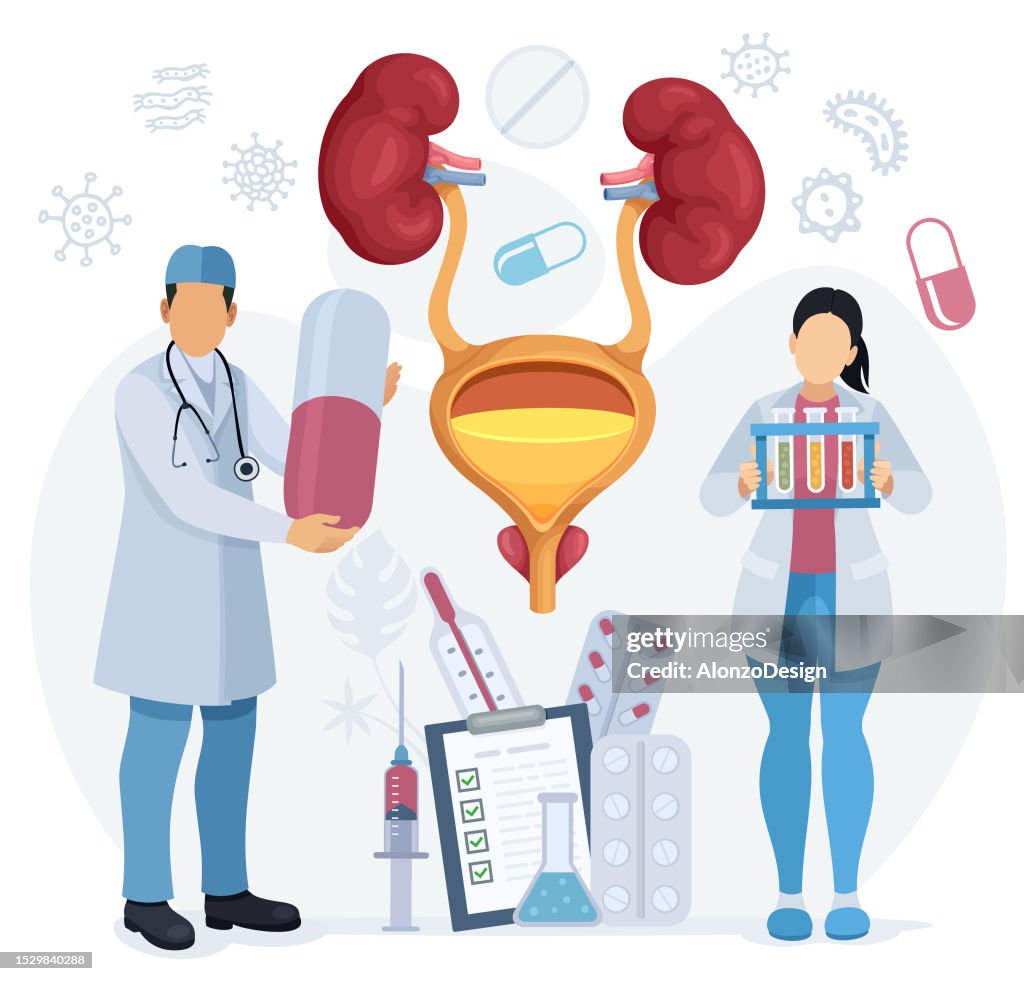 Urology. Consultation with a urologist. Medical Research Team Studying and Prescription Drug. Bladder anatomy and prostate gland.